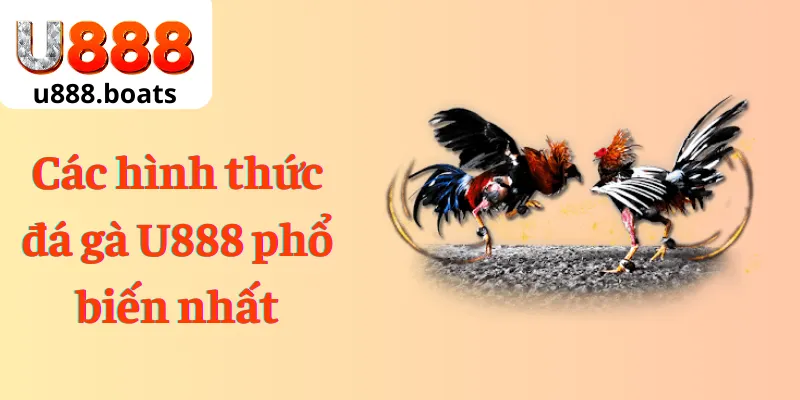 Các hình thức đá gà U888 phổ biến nhất