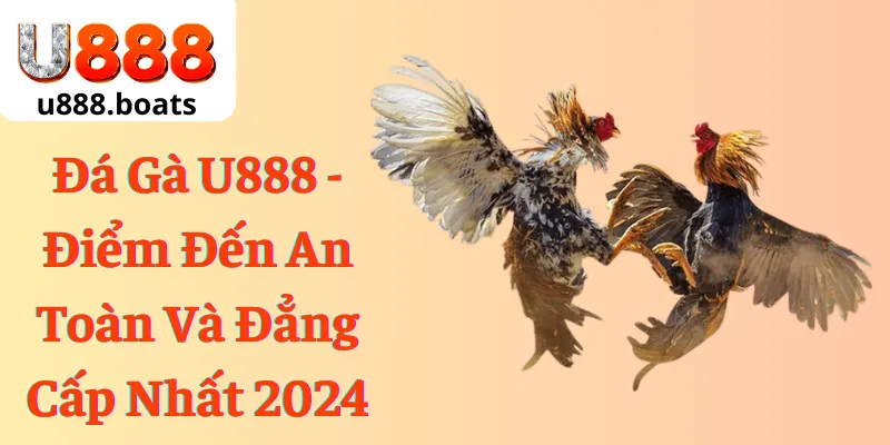 Đá gà U888 điểm đến an toàn và đẳng cấp nhất 2024