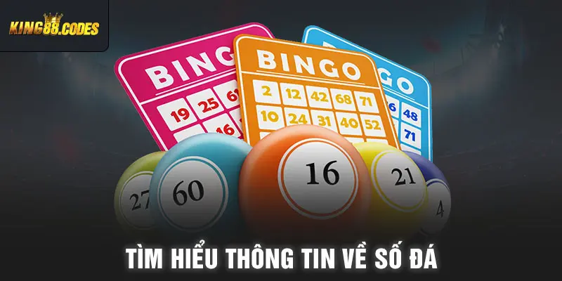 Tìm hiểu thông tin về số đá